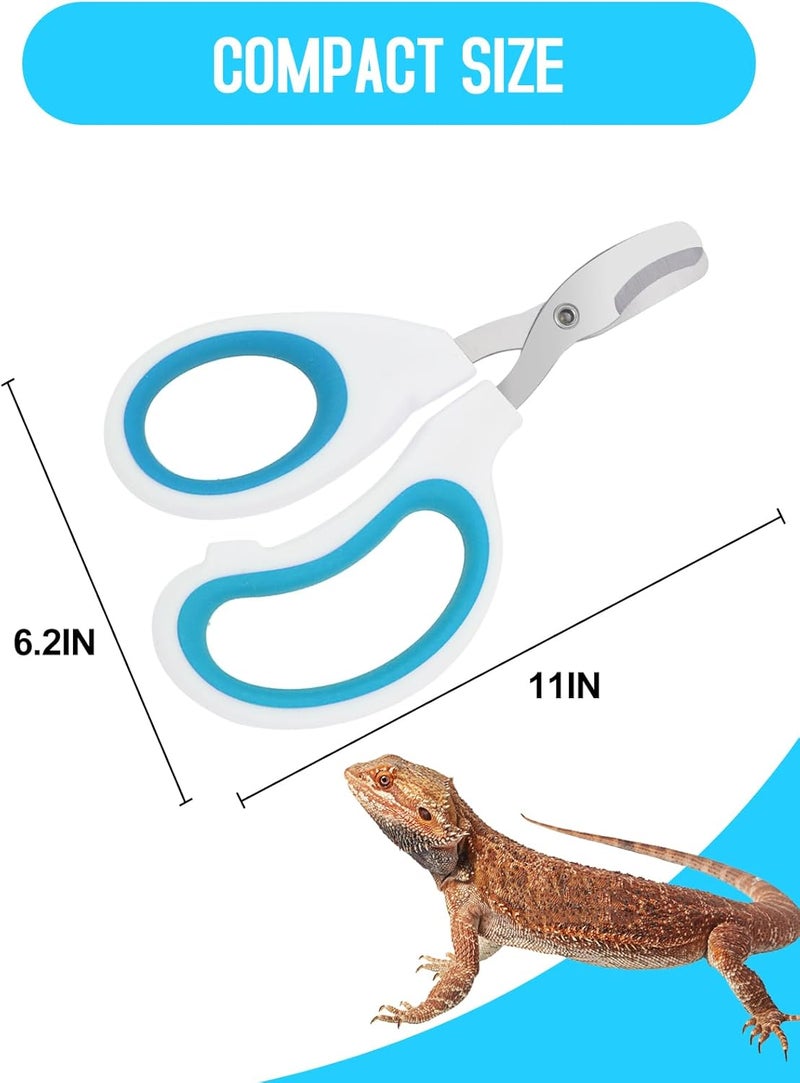 Engorgio Stainless Steel Bearded Dragon Nail Clippers,Lizard Nail Clippers,Bearded Dragon Supplies,Bearded Dragon Nail Scissors for Small Reptiles,Turtle,Chameleon,Iguana，Hedgehog（Blue） - Image 4